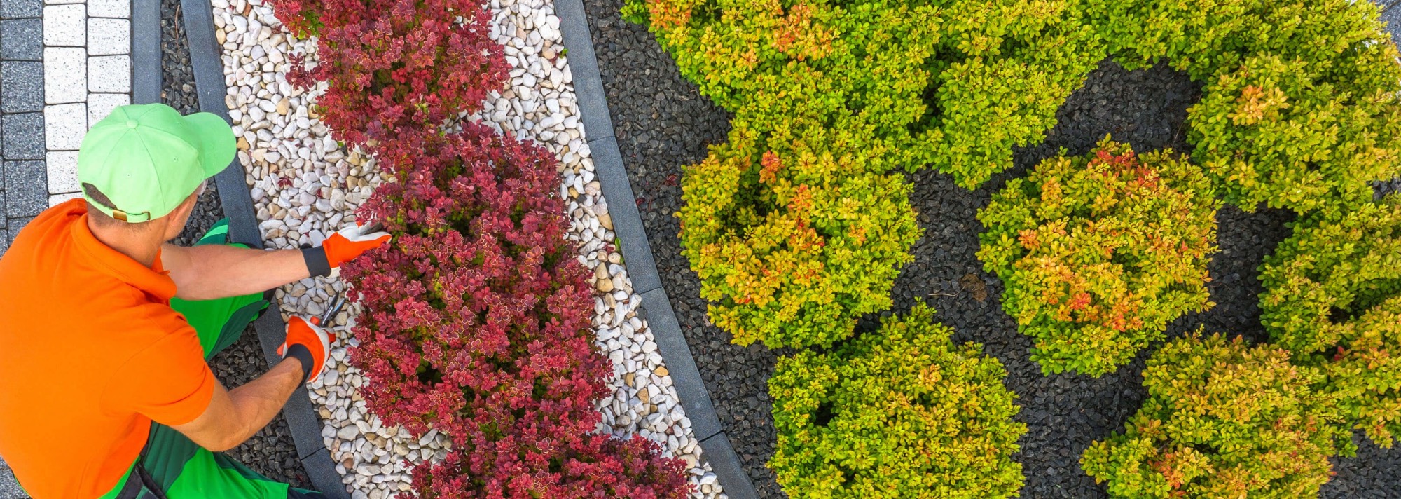 Protect your lawn from chemical damage during roof cleaning